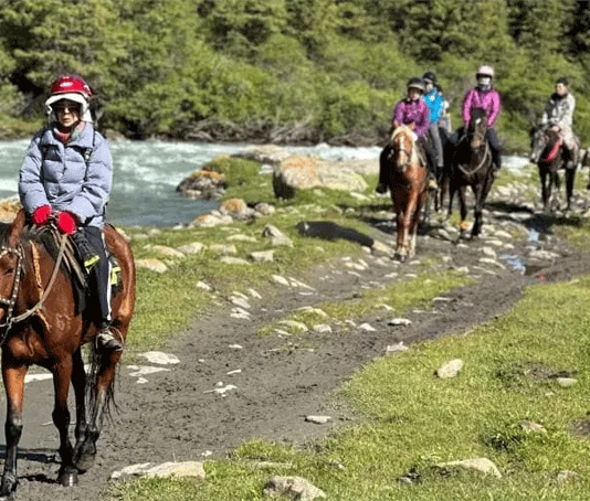 Вместо департамента создано Госагентство по развитию туризма