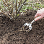 Готовим огород к посадкам