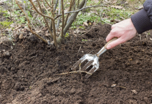 Готовим огород к посадкам