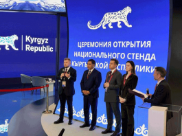 Госдума предлагает включить киберспорт в программу ВИК
