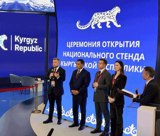 Госдума предлагает включить киберспорт в программу ВИК