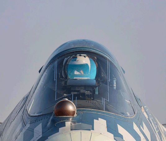 Sohu: Индия поплатилась за свою глупость с самолетами Су-57