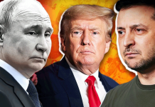 Трамп высказался о Путине и Зеленском